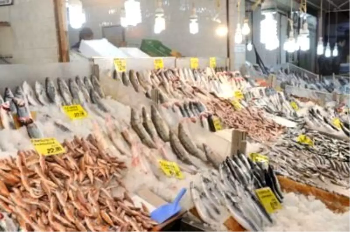 Kocaeli'de Balık Fiyatları