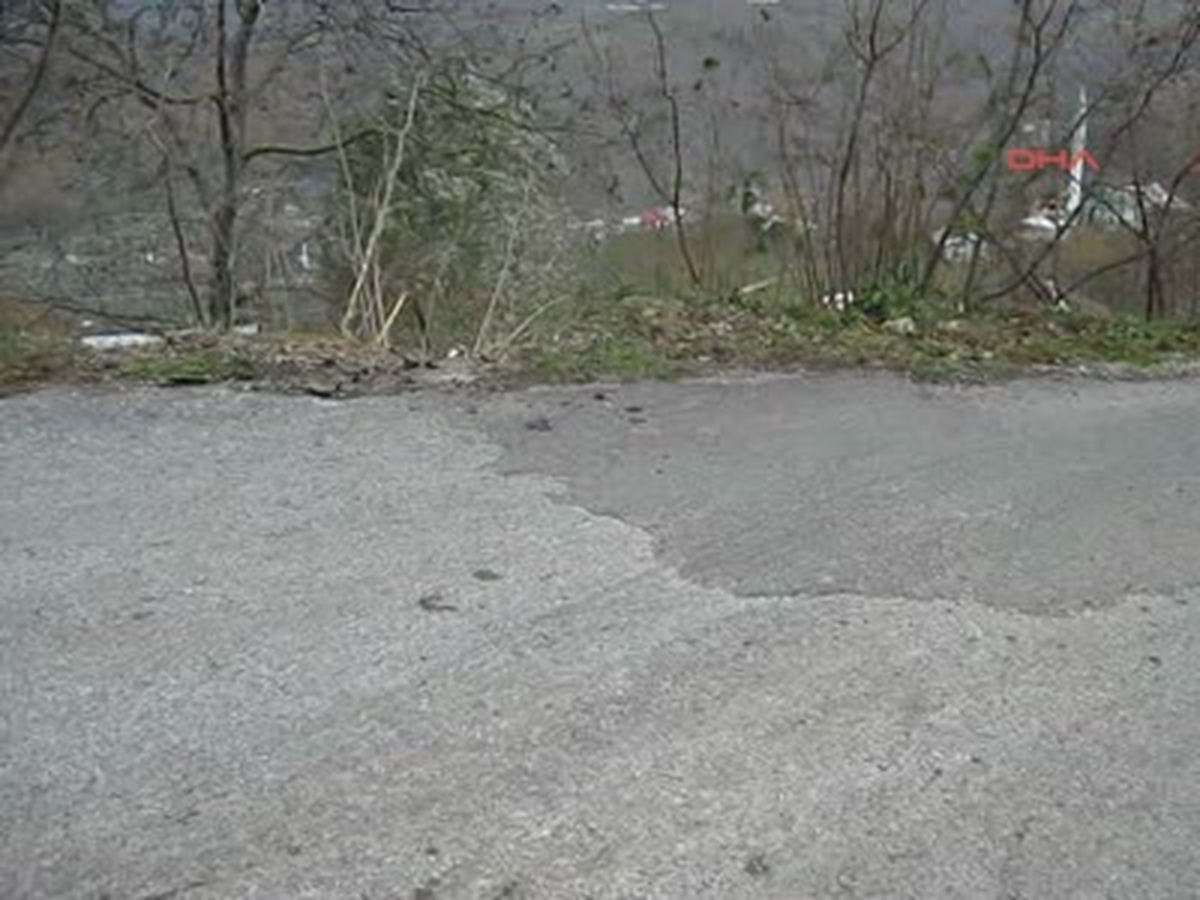 Tomruk Yüklü Kamyon Muhtarın Evinin Üzerine Uçtu
