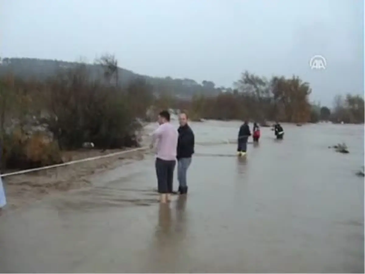 Ağaçta Mahsur Kaldılar