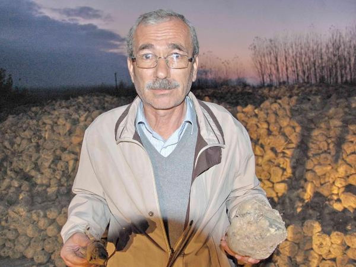Kuraklığın Vurduğu Pancar Üreticisi Zor Durumda