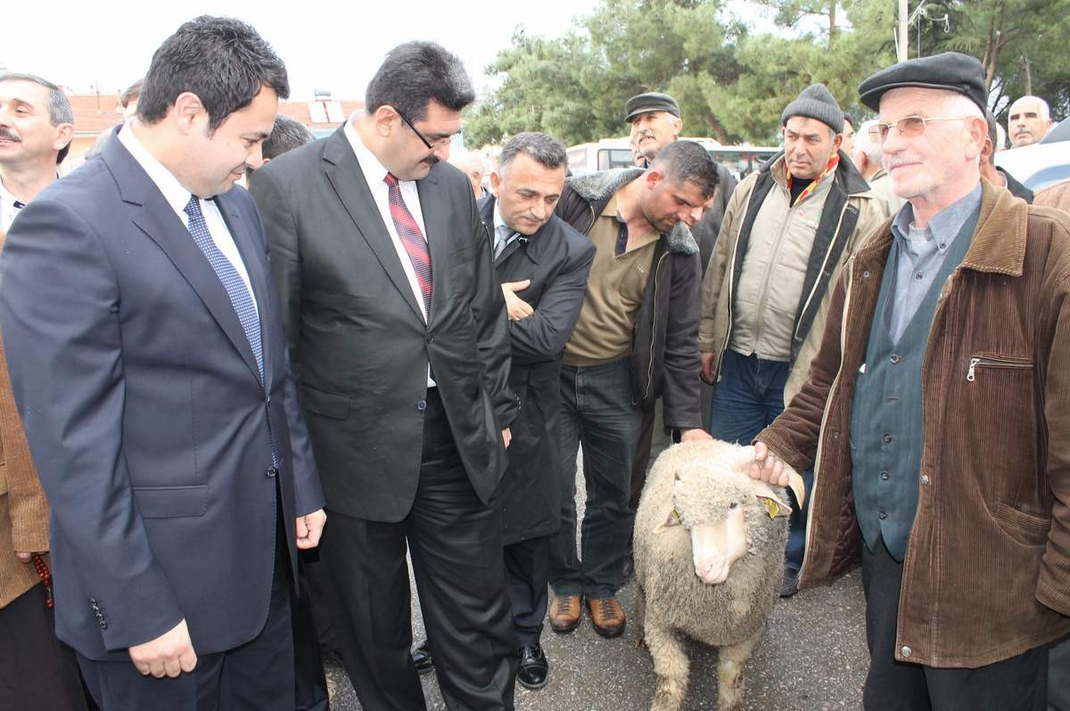 Manyaslı Çiftçilere Koç Dağıtıldı