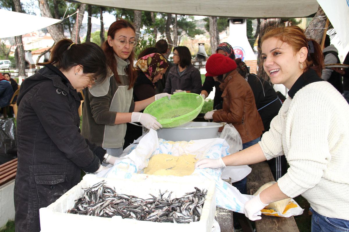 Muğla\'da \'Tavada Hamsi\' Şenliği