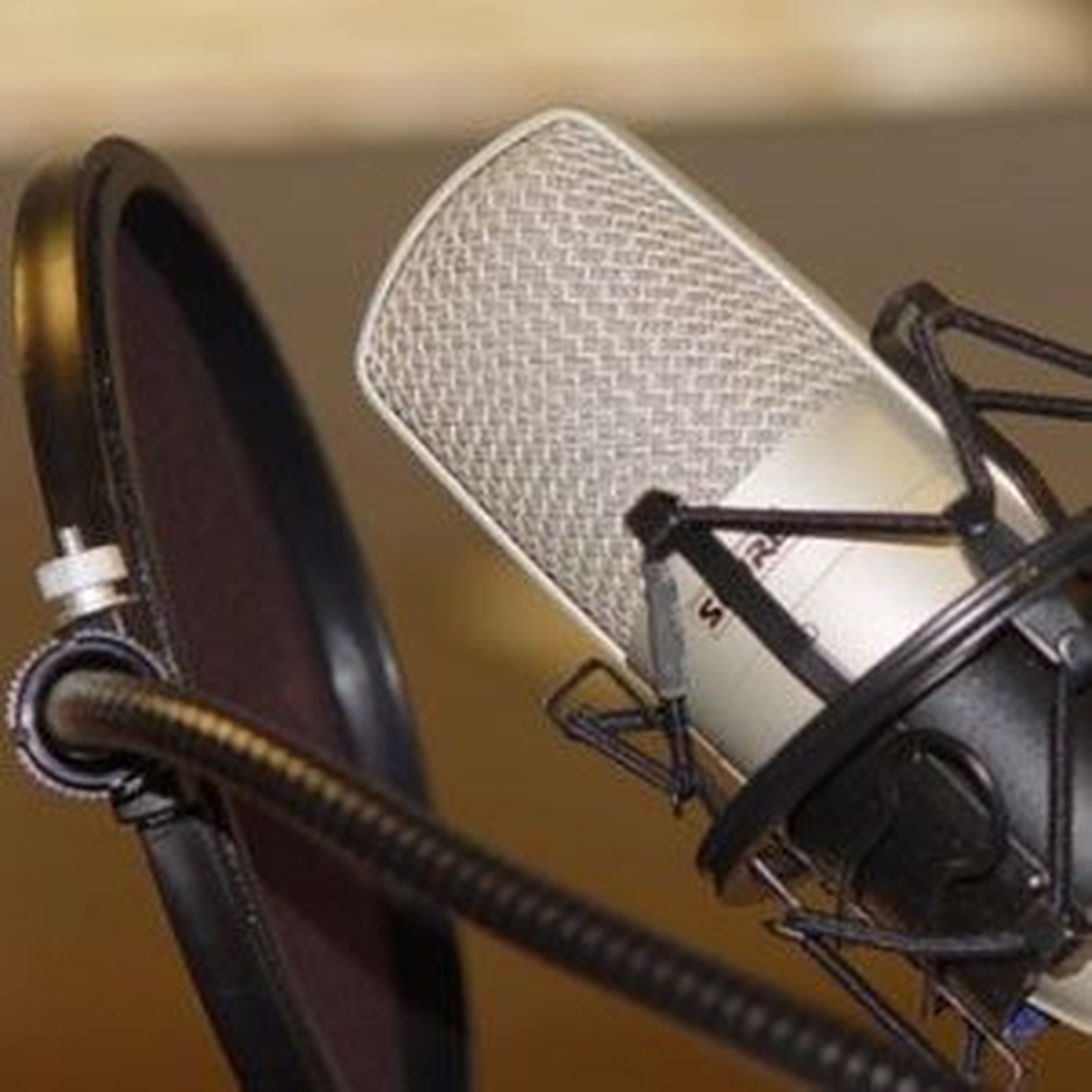 Radyo İstasyonu Satışı 2 Yılda Yüzde 150 Arttı