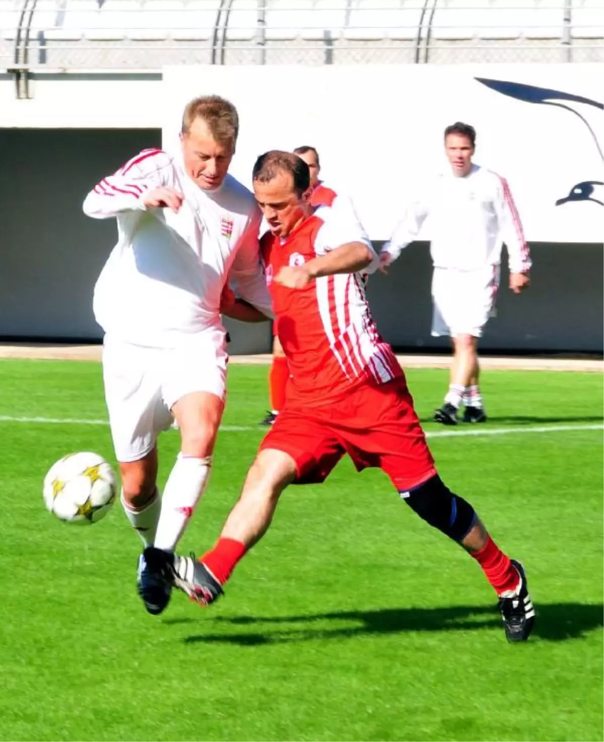 Finalde Macaristan\'ı Yenen Türk Vekiller Şampiyon Oldu