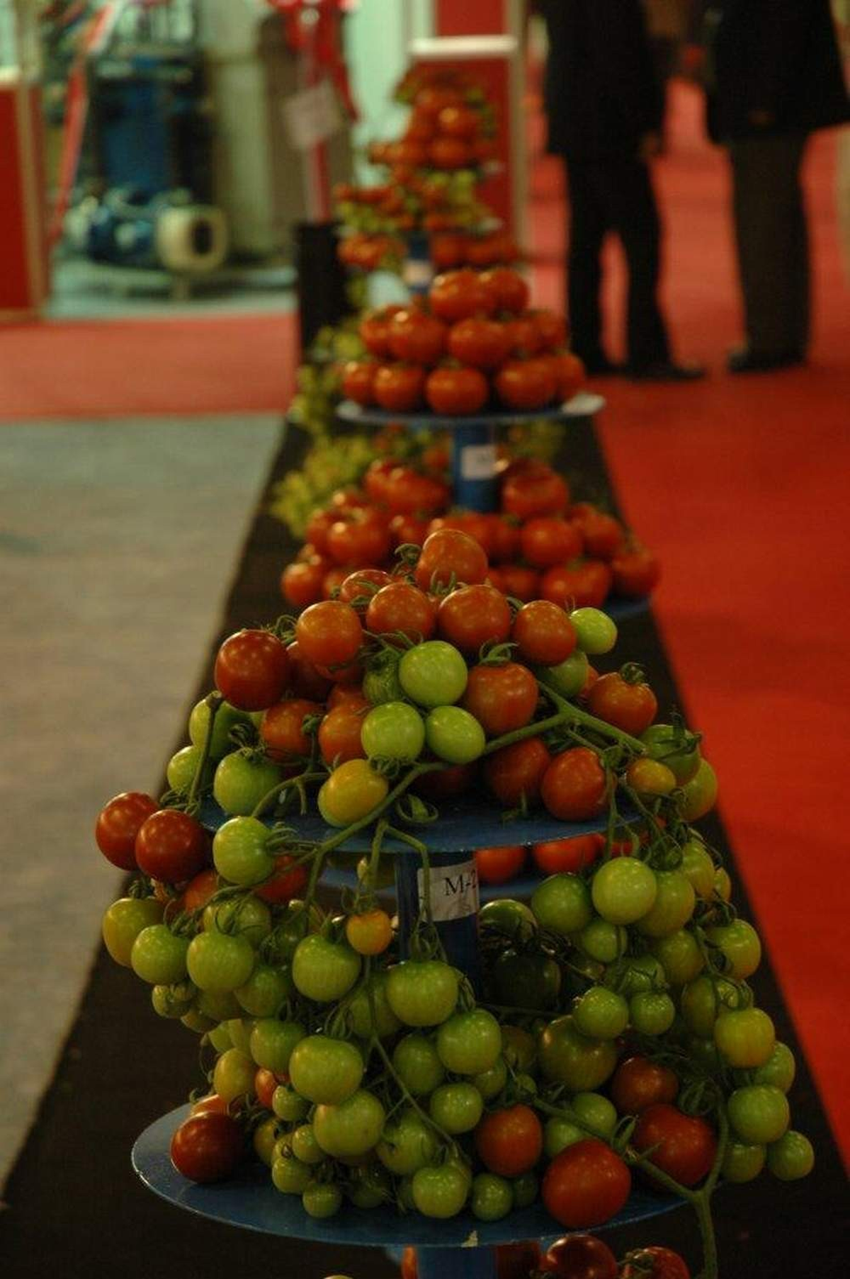 Growtech Eurasıa Tarım Fuarı Başlıyor
