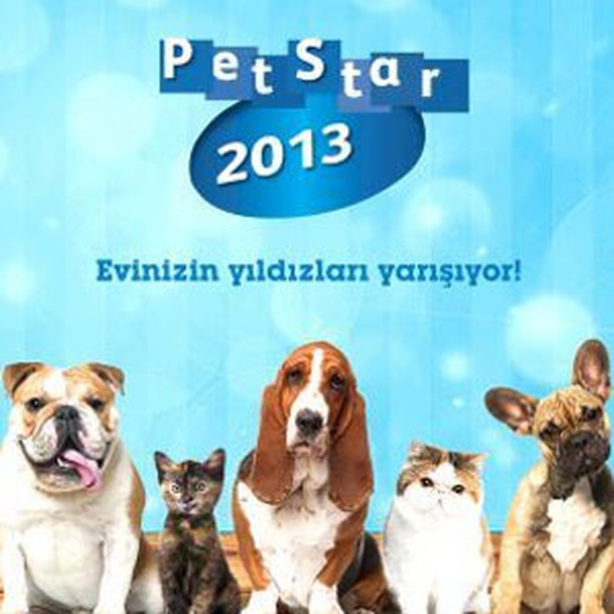 Pfizer Petstar 2013 Takvimi Yeni Yıldızlarını Bekliyor