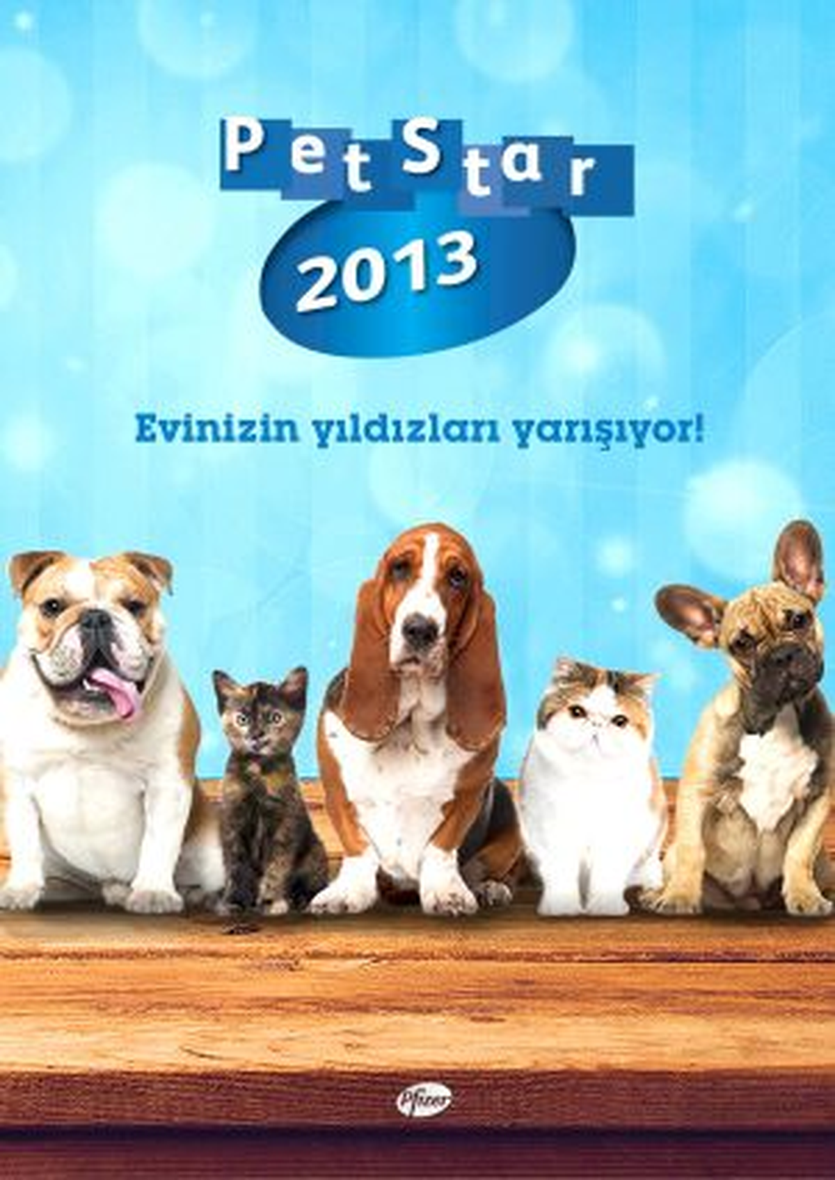 Pfizer PetStar 2013 Takvimi Yeni Yıldızlarını Bekliyor