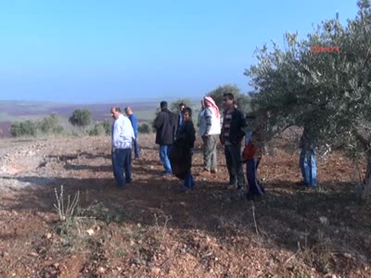 Reyhanlı\'ya Düşen Havan Mermisi 8 Ağacı Parçaladı