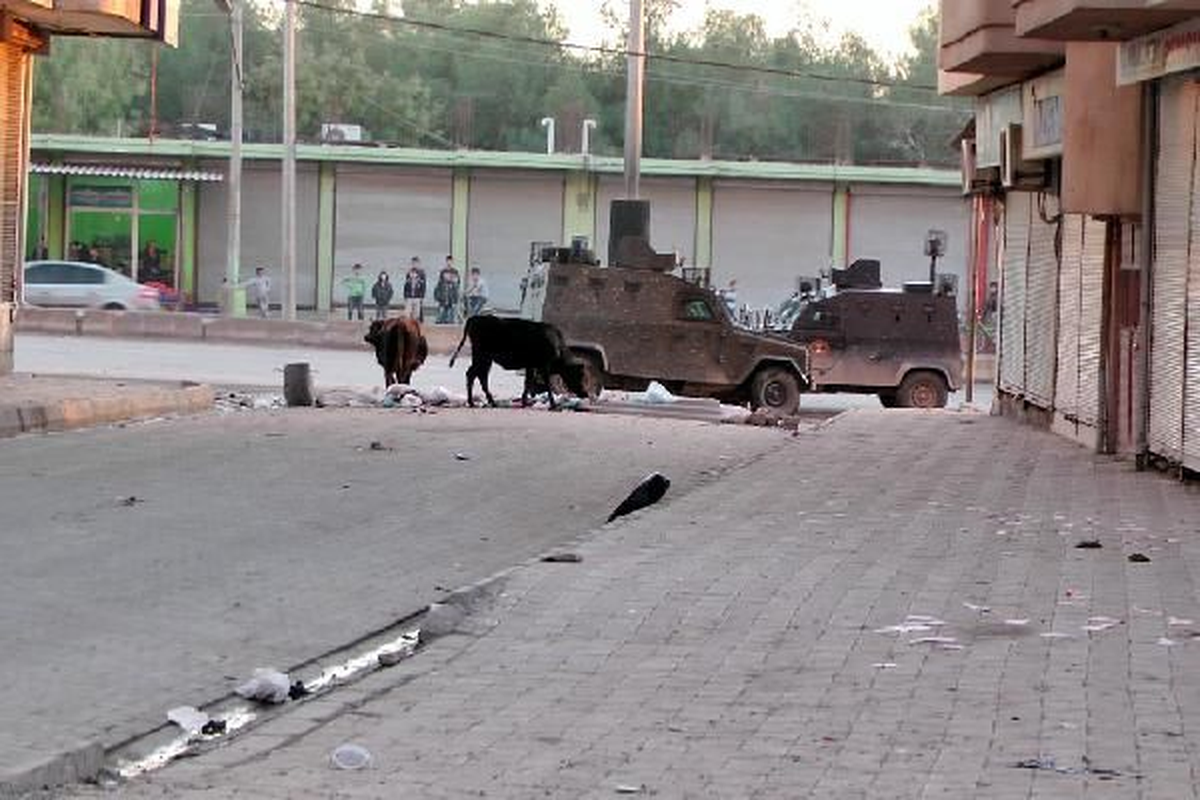 Silopi\'de İzinsiz Gösteriye Polis Müdahale Etti