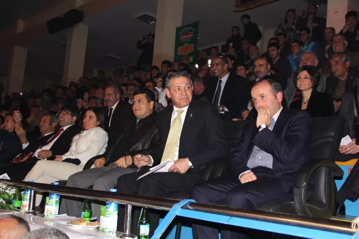 Türkiye Büyükler Ferdi Boks Şampiyonası