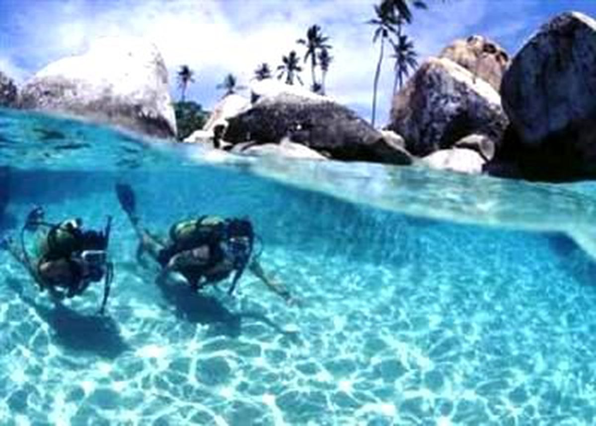 Turks & Caicos Cinliği