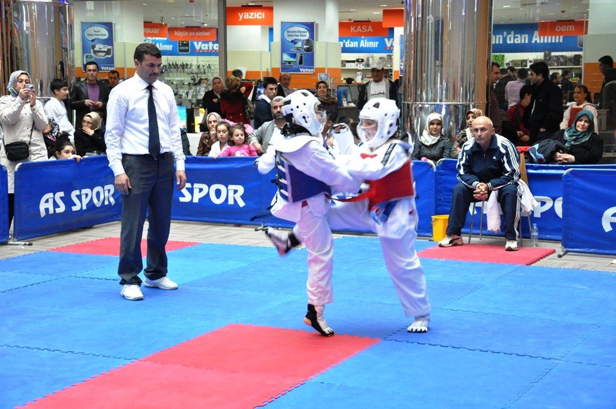 Düzce Taekwondo Valilik Kupası Yapıldı