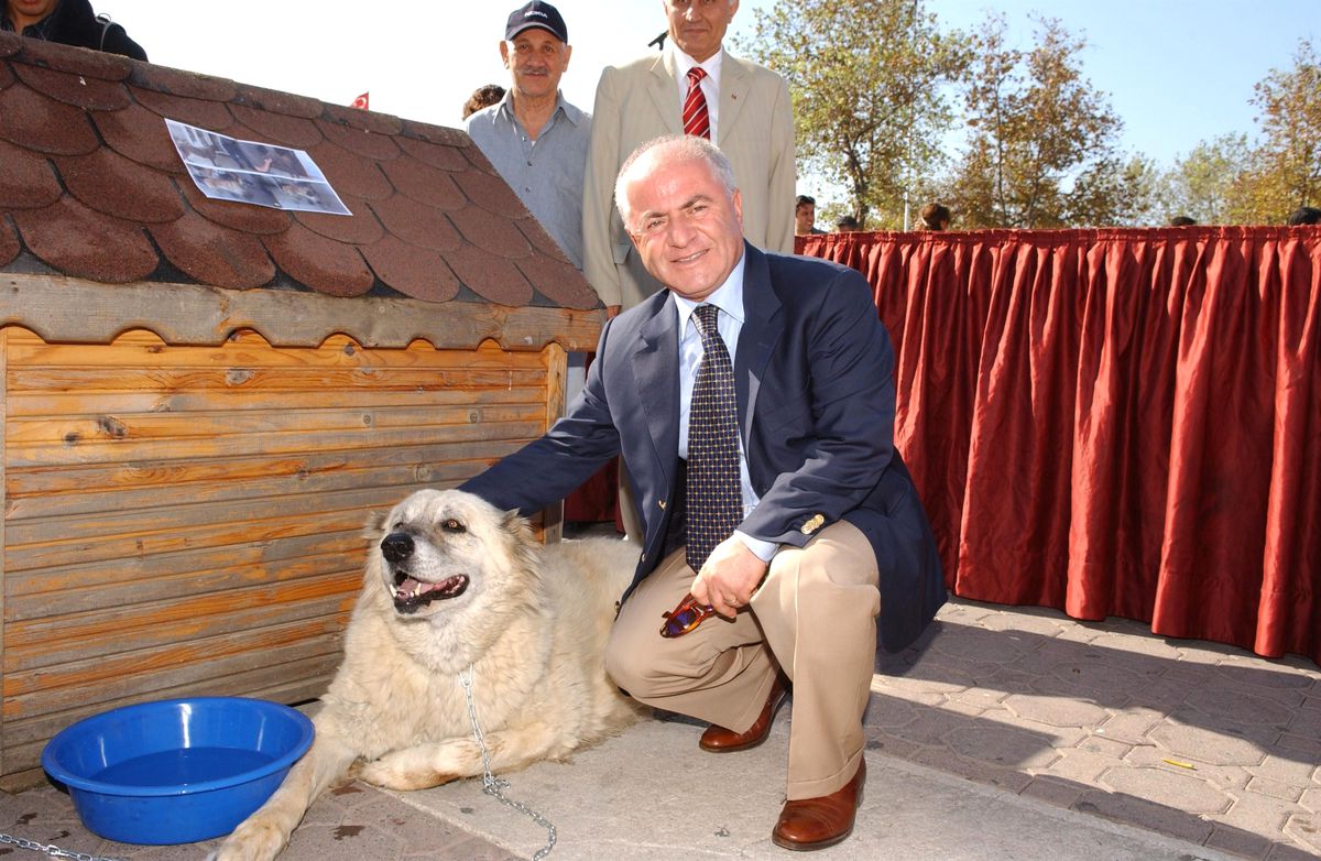 Evcil Hayvan Satışında Yeni Uygulama