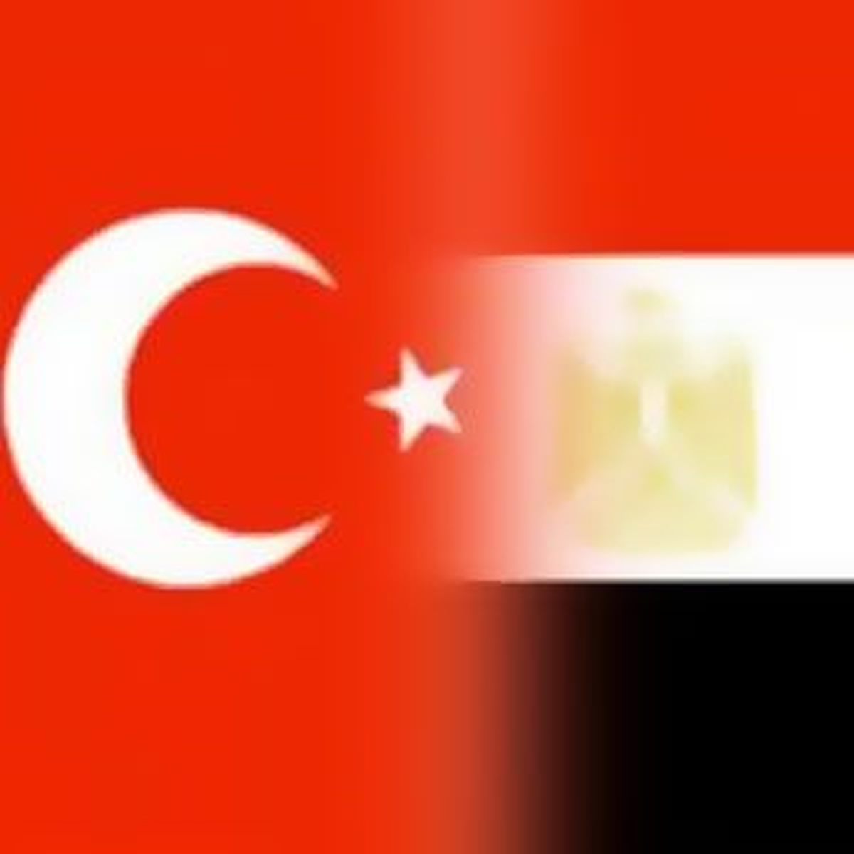 "Mısır Türkiye\'yi Protesto Etti"