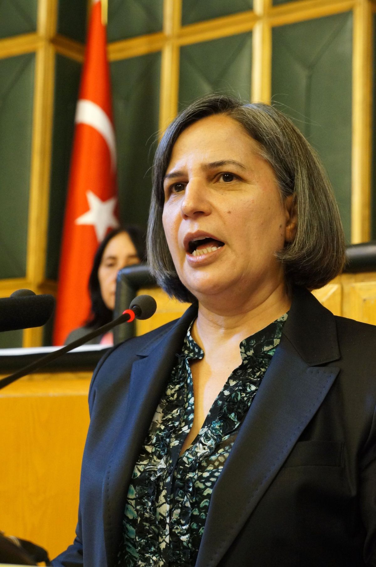 


"Kürtler Eski Kürtler Değil"