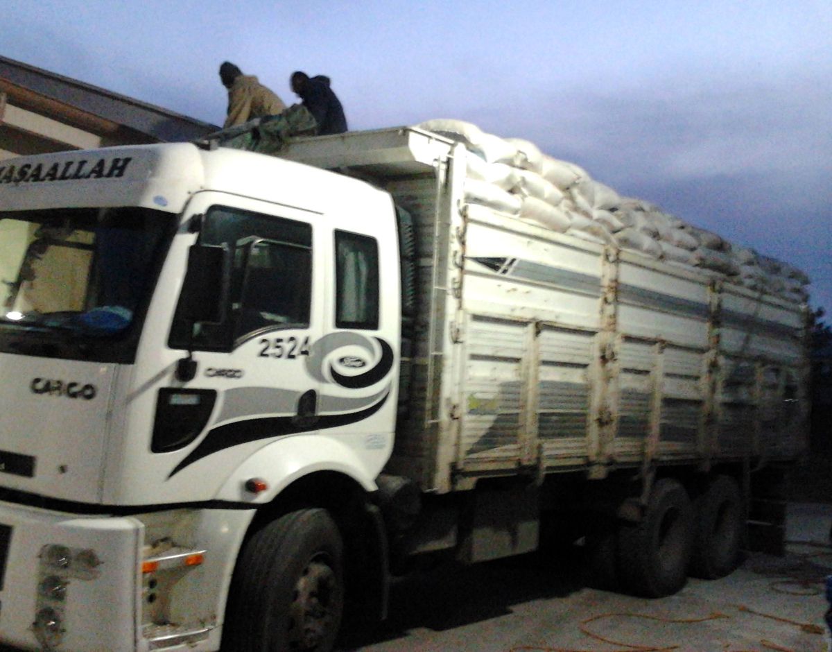Hayvan Yemleri Arasında 240 Bin Paket Kaçak Sigara Ele Geçirildi