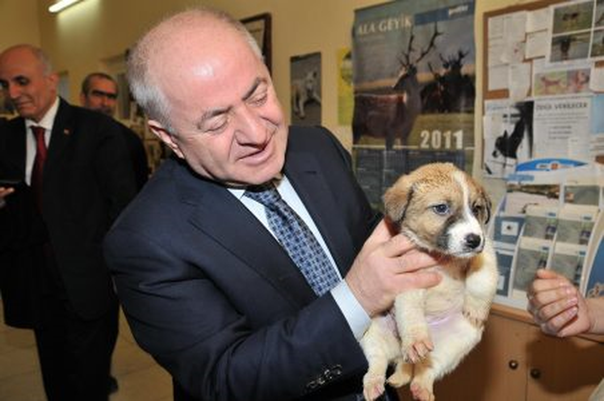 Pet-Shoplarda Hayvan Satışını Yasak