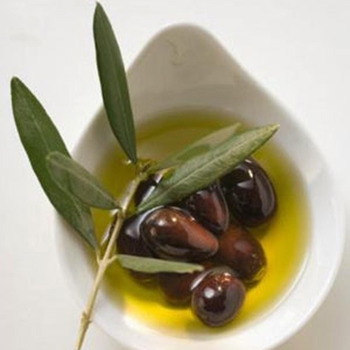 Türk Zeytin ve Zeytinyağı Irak\'ta Tanıtıldı