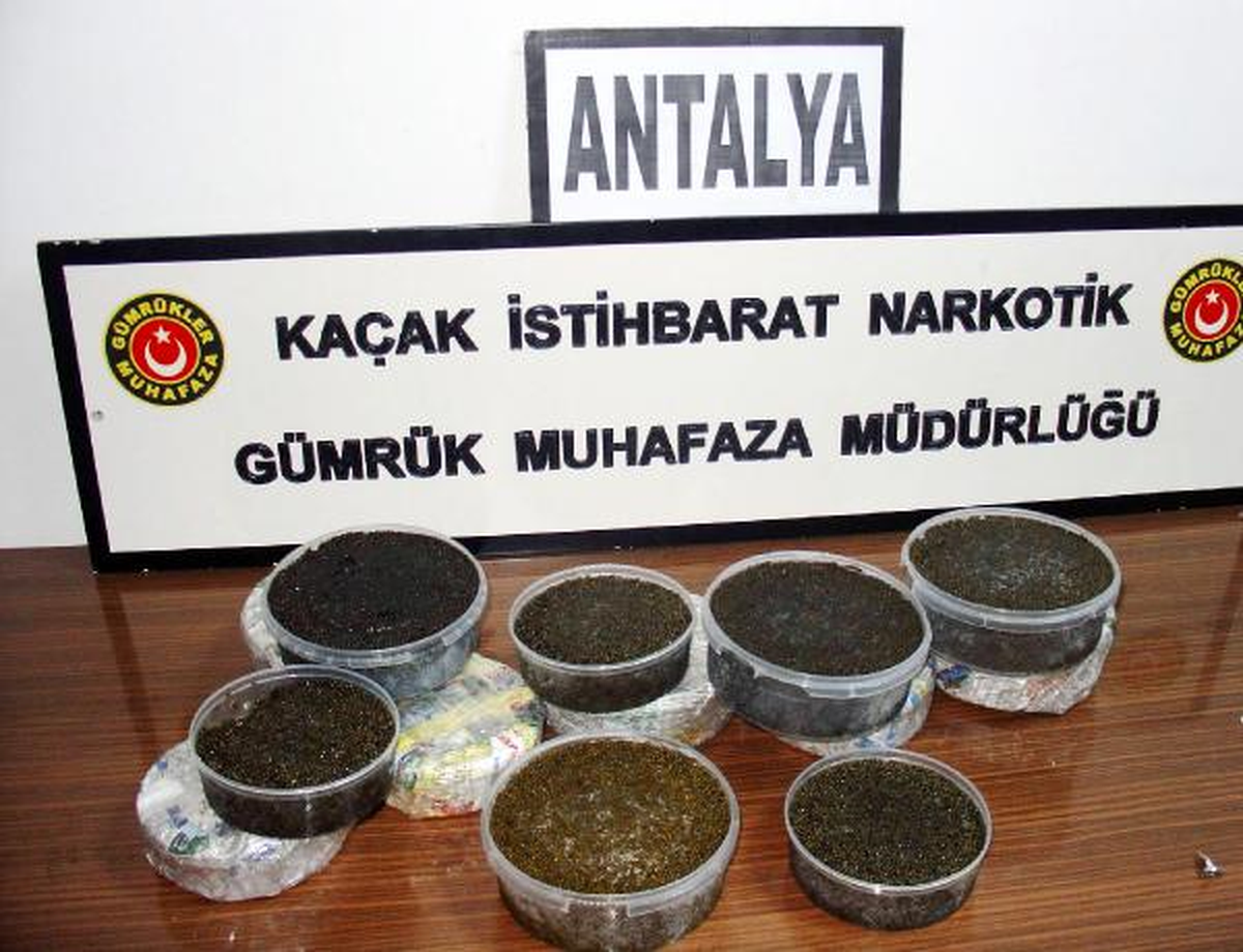 33 Bin Dolarlık Havyar Gümrüğe Takıldı