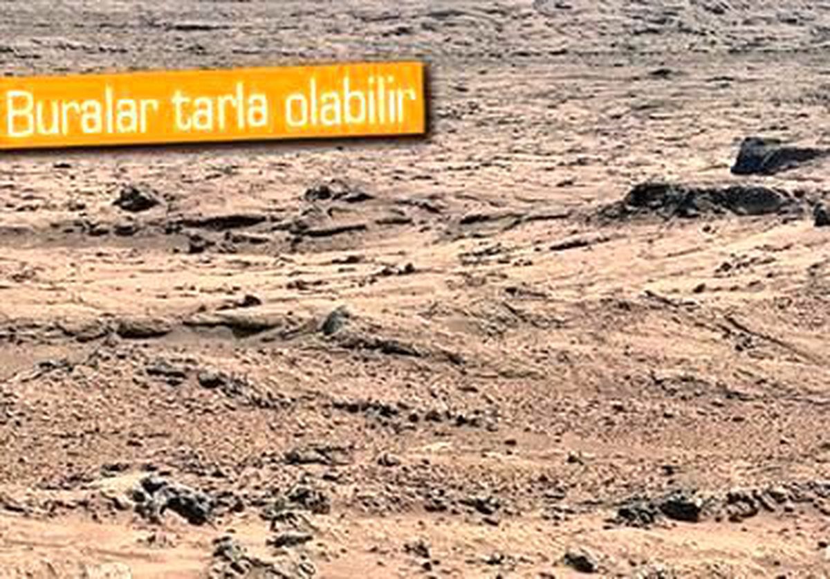 Çin, Uzayda Bitki Yetiştirecek