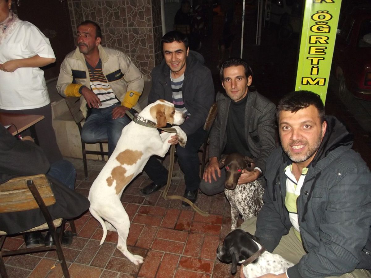 Edremit\'te Av Köpekleri Aşılandı