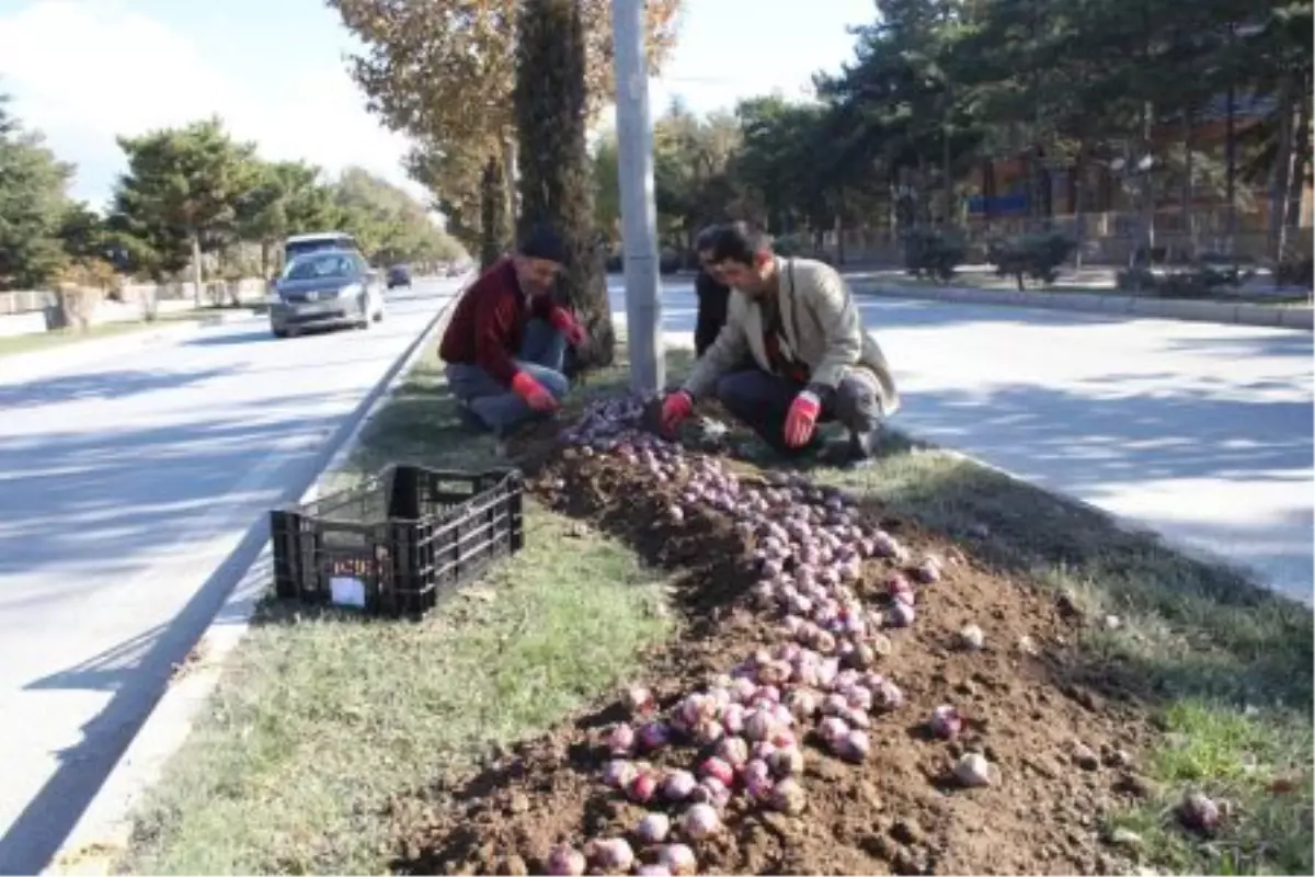 "Elazığ 4 Mevsim Ayrı Bir Güzellik Taşıyor"