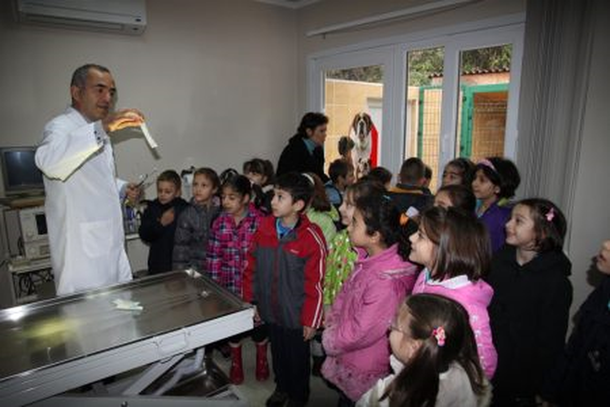 Minik Öğrenciler Veteriner Oldu