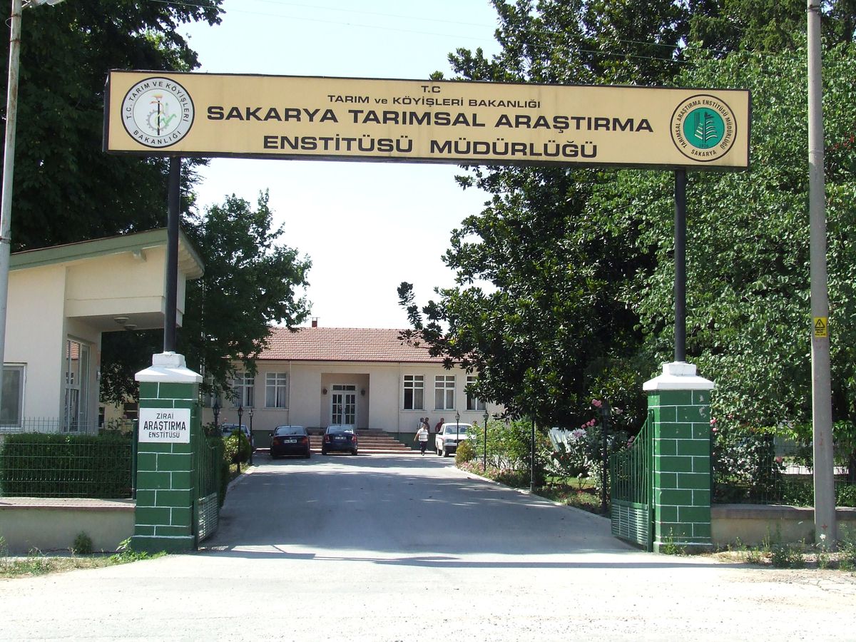 Mısırda Ortak Çalışma Yapılacak