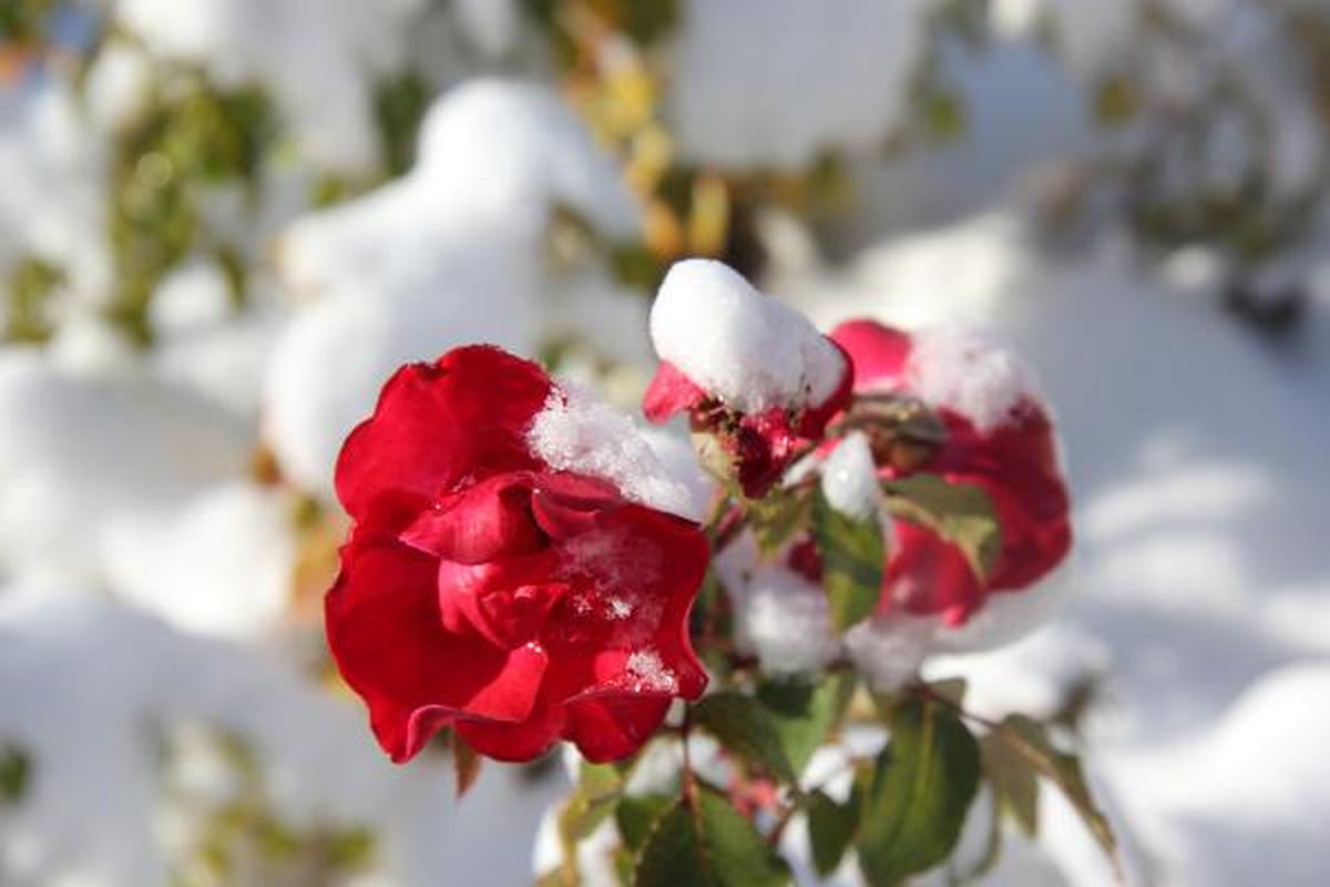 Nevşehir\'de Kırmızı- Beyaz Kar Manzarası
