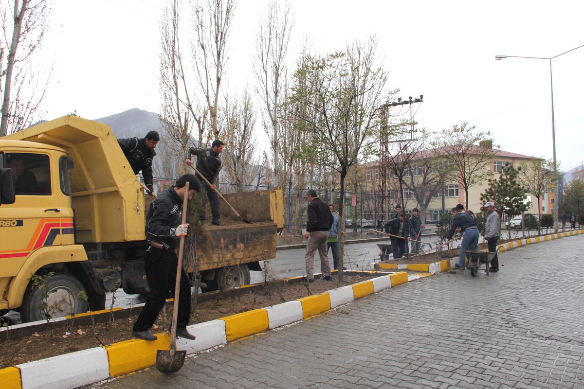 Oltu\'da Ağaç ve Çiçeklere Kış Bakımı