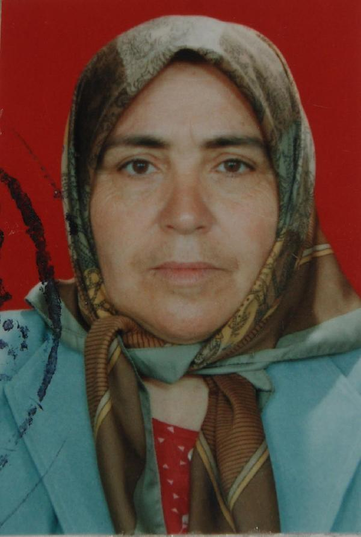 Zeytin Toplarken Düşüp Öldü