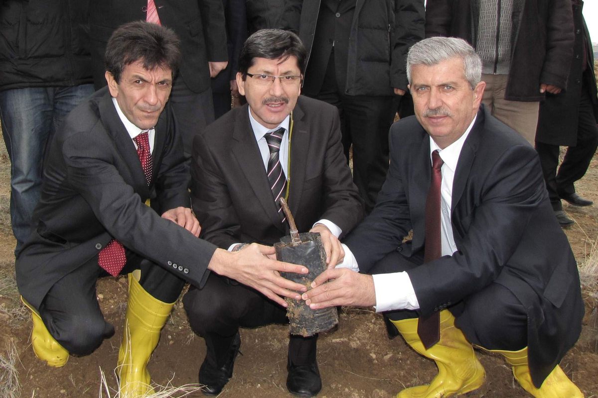 2 Bin Dekar Alana 170 Bin Ağaç Fidanı Dikildi