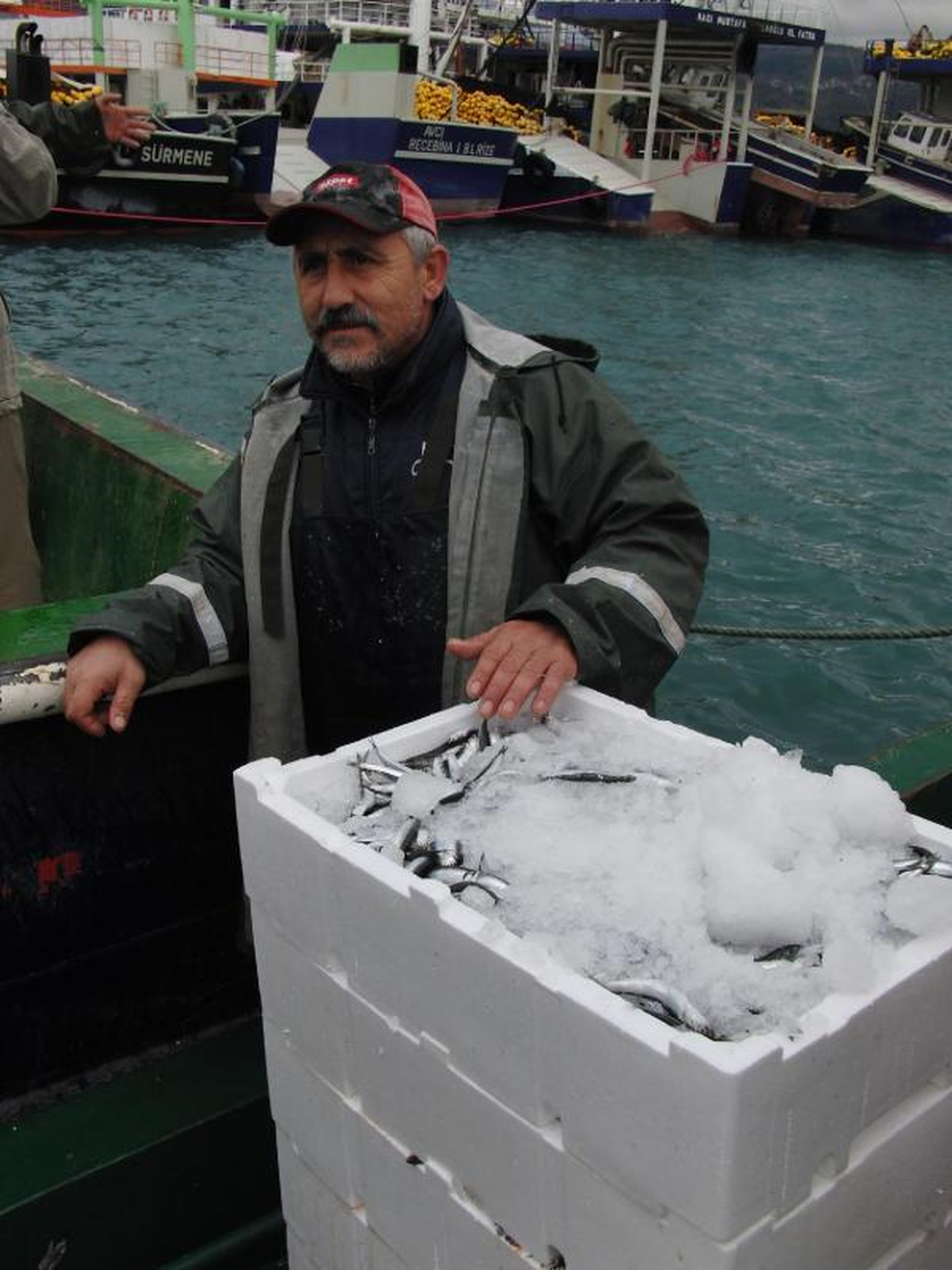 Balıkçılar Hamsinin Azlığından Yakındı