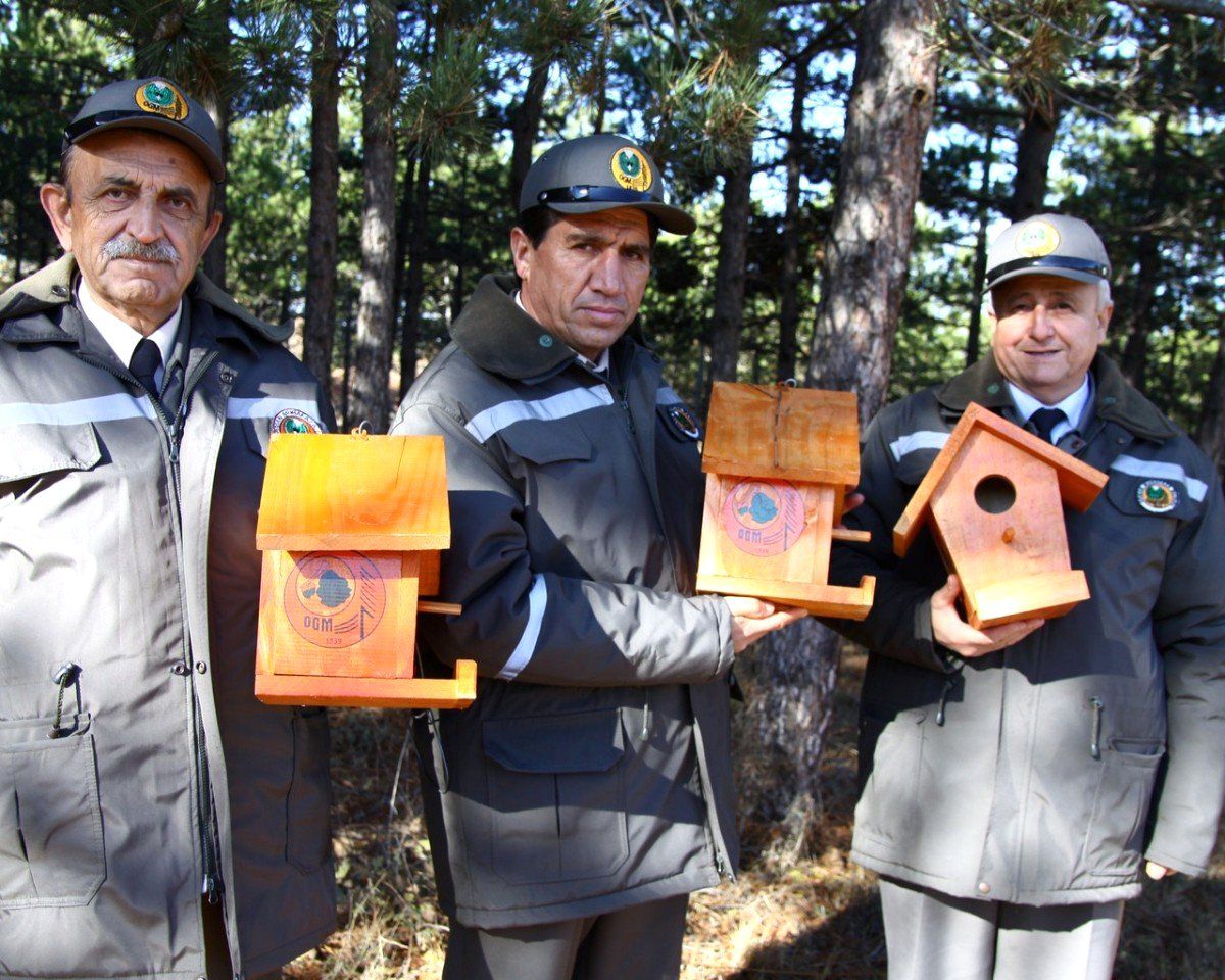 Bu Kez Yuvayı Orman Teşkilatı Yaptı