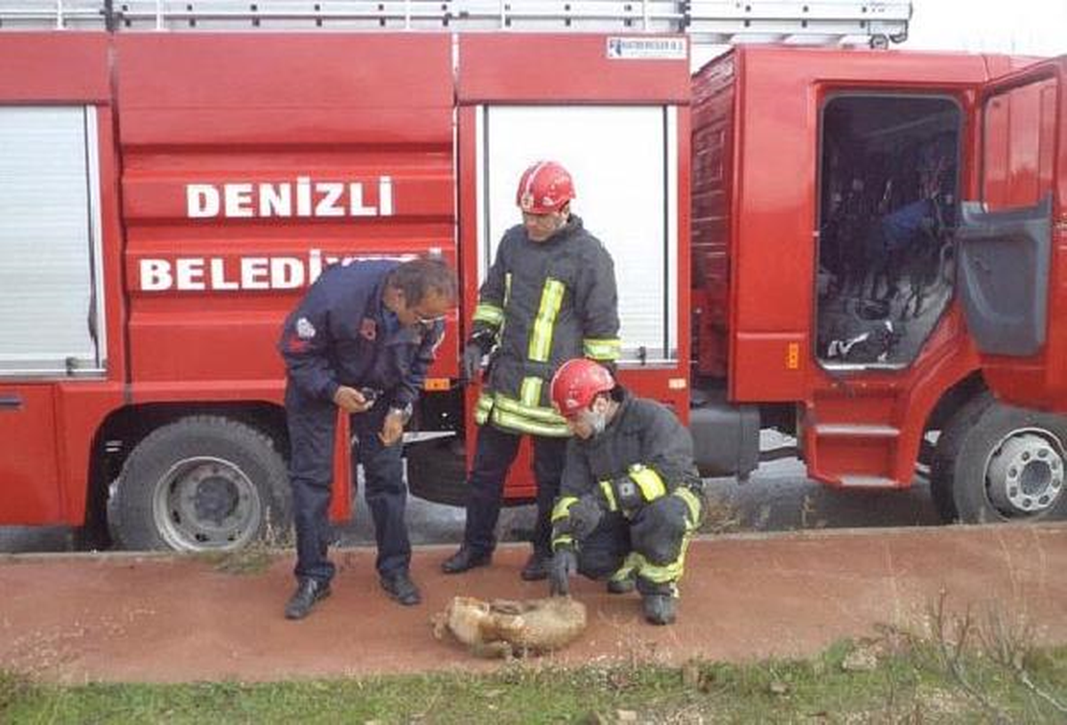 Drenaj Kanalına Düşen Köpeği İtfaiye Kurtardı