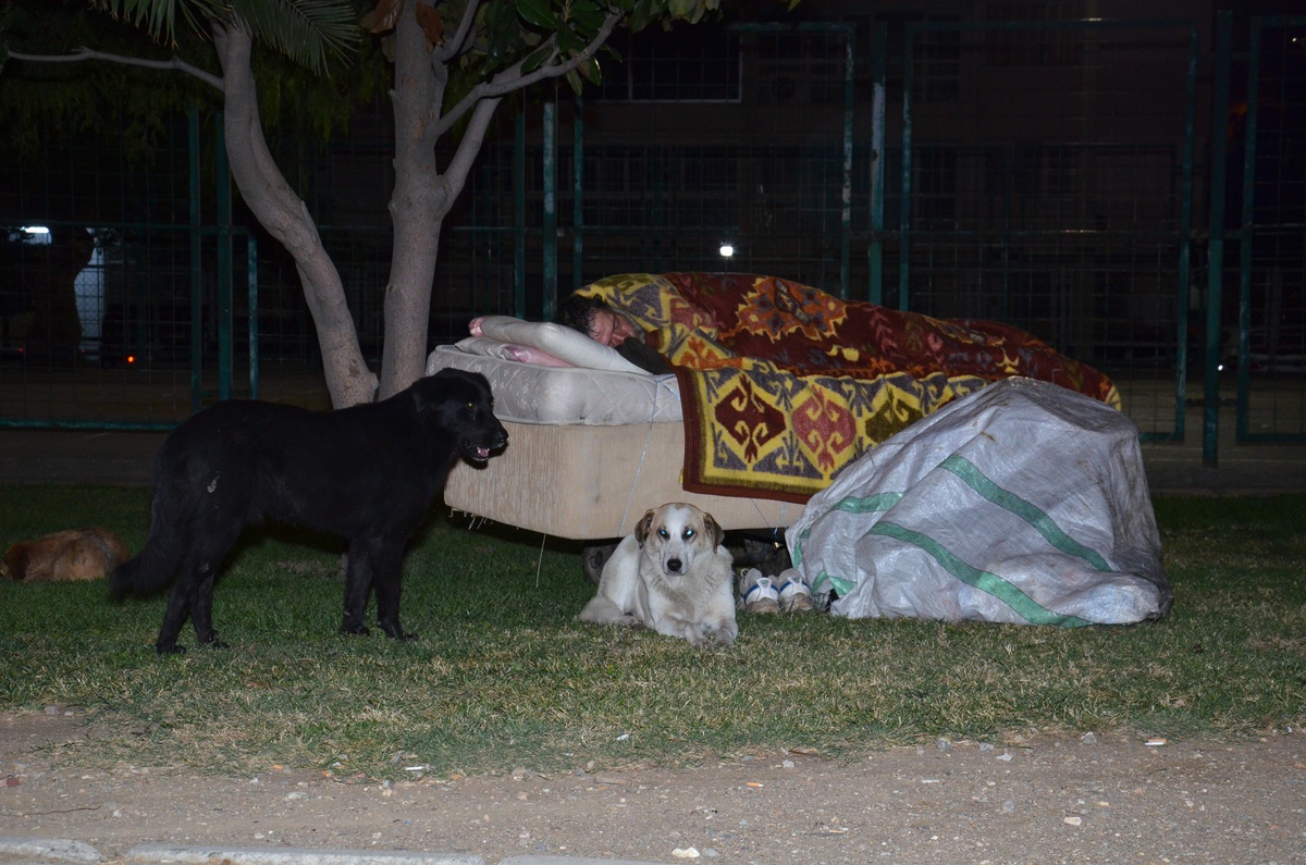 Evsiz Şahsı Uyurken Köpekleri Koruyor