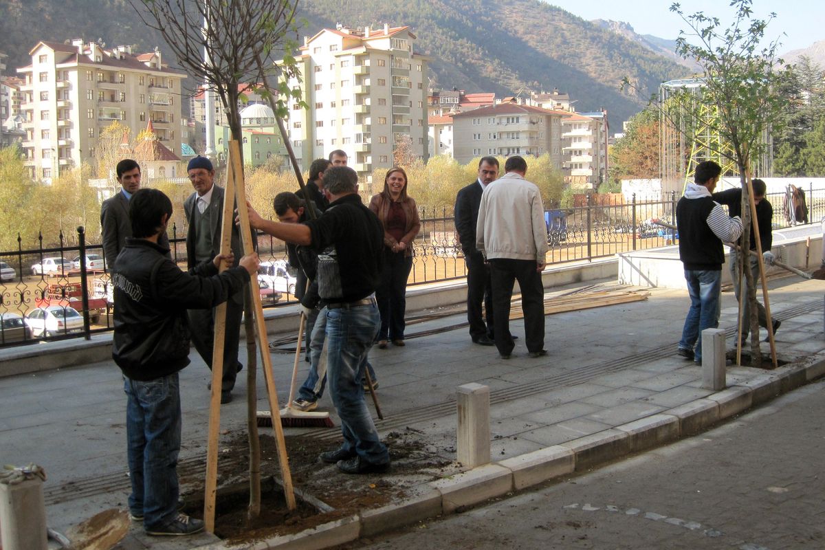 Gümüşhane\'de Caddeler Ağaçlandırılıyor