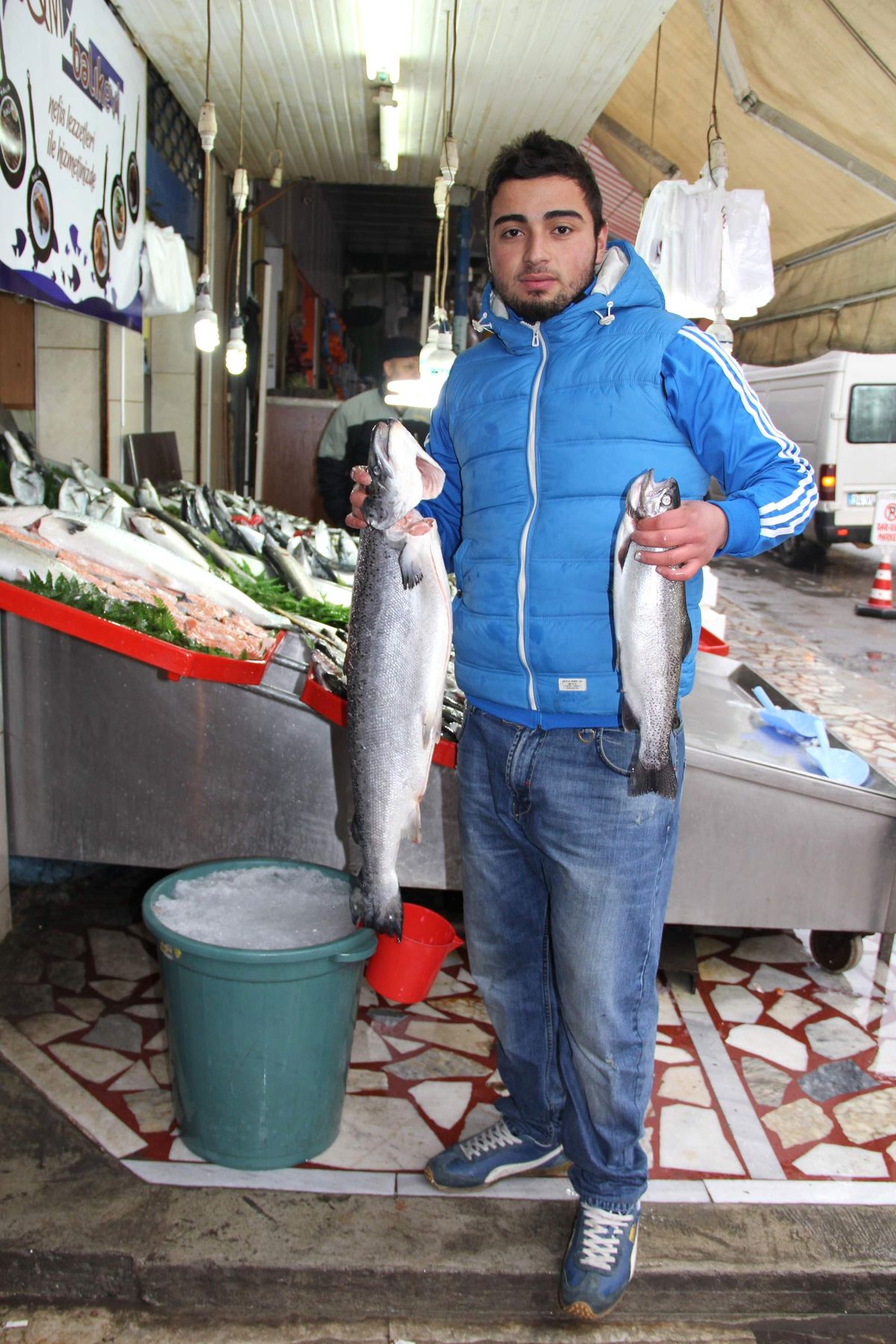 Hamsinin Ana Vatanında İthal Somon
