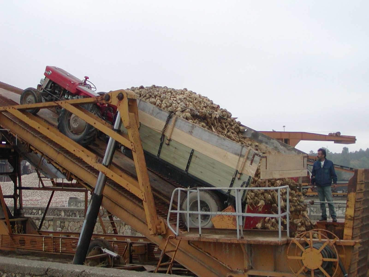 Muş Şeker Fabrikası\'nda 215 Bin Ton Pancar İşlendi