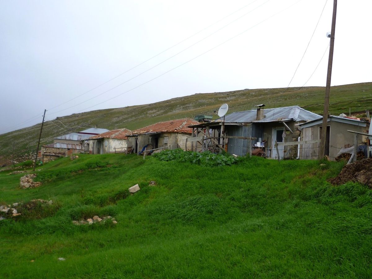 Olmayan İnekleri İçin Cezalandırılacak
