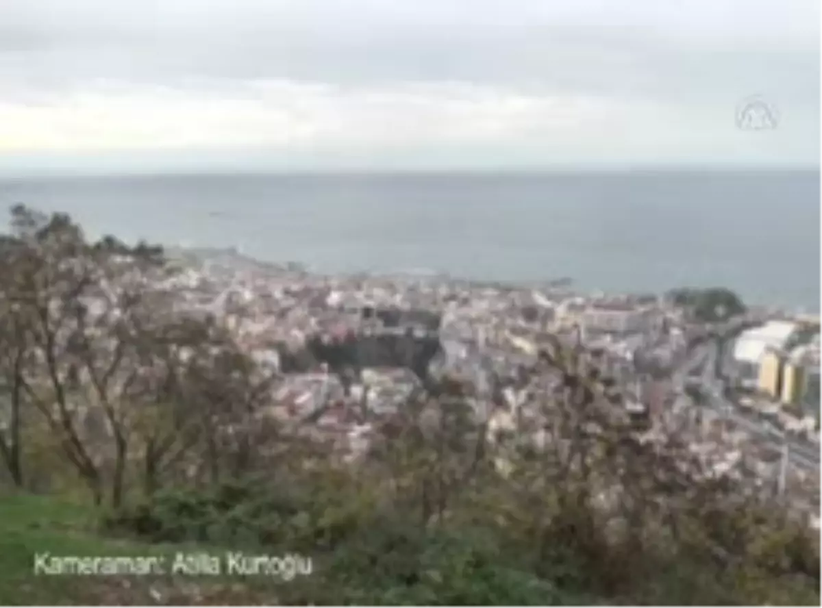 'Temel' de Dünyaya Geldi