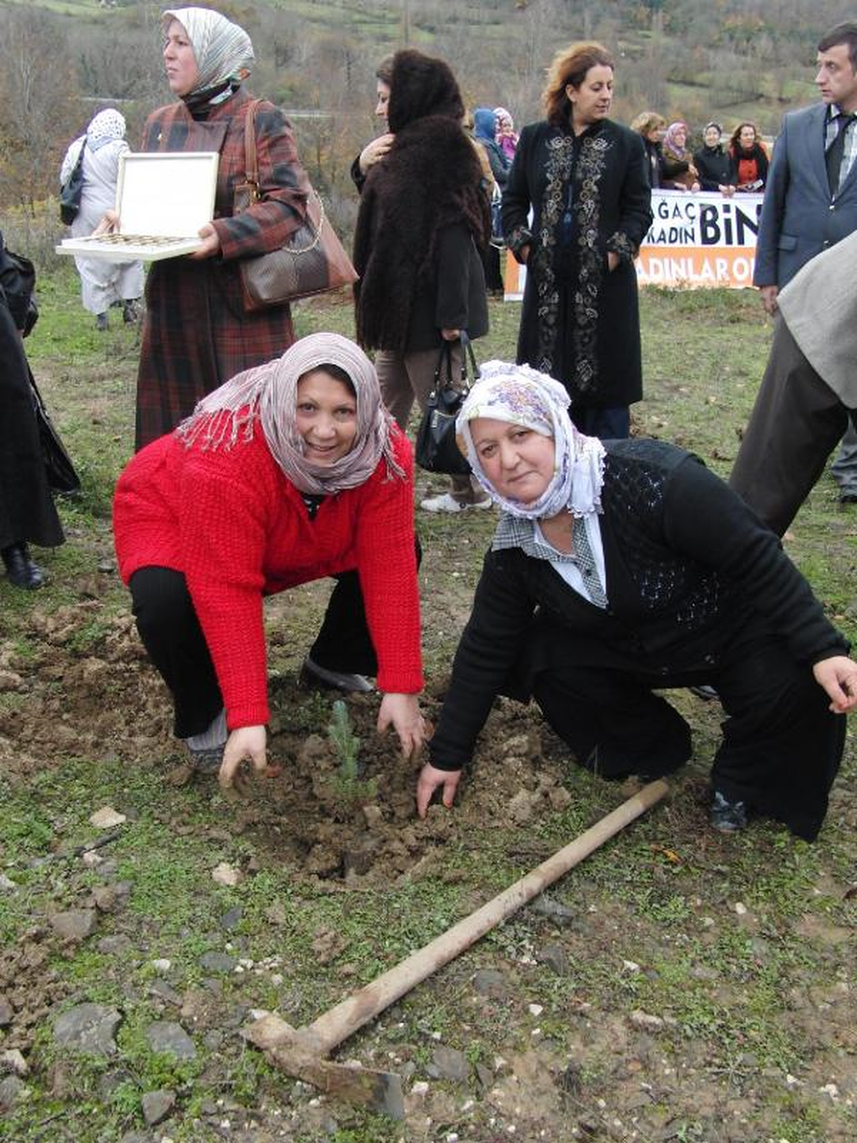 AK Parti\'li Kadınlar Fidan Dikti