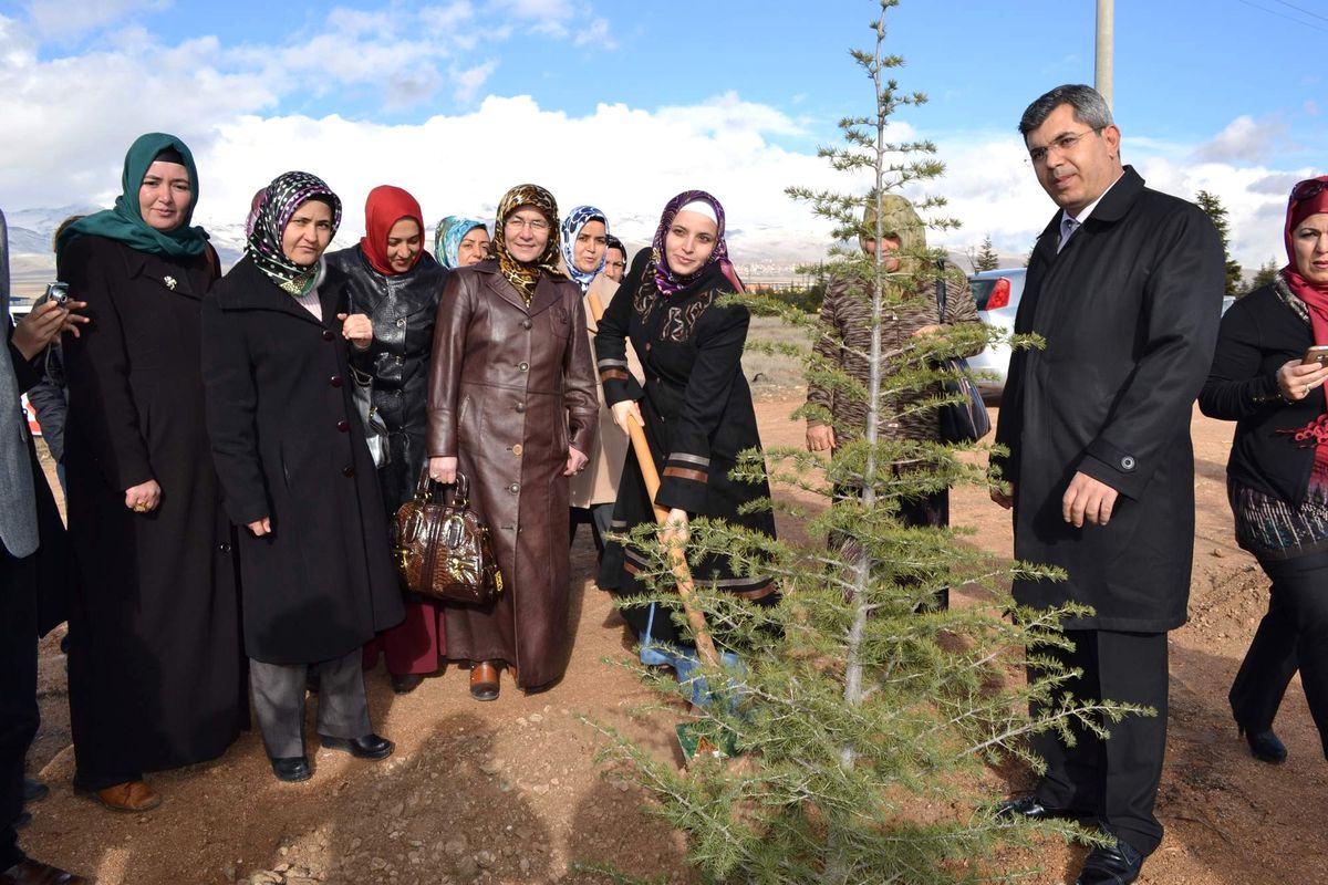 Bir Ağaç Bin Nefes, Bir Kadın Bir Umut