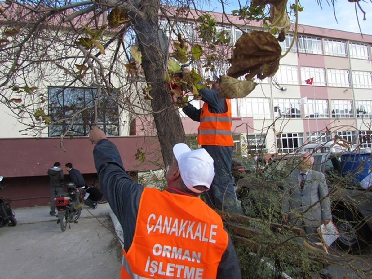Çanakkale\'deki Okullara Bahçe Düzenlemesi