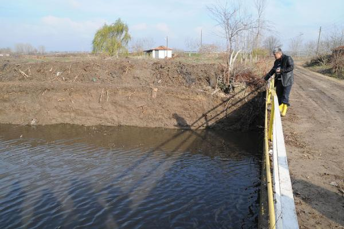 Deredeki Balık Ölümleri Köylüleri Korkuttu