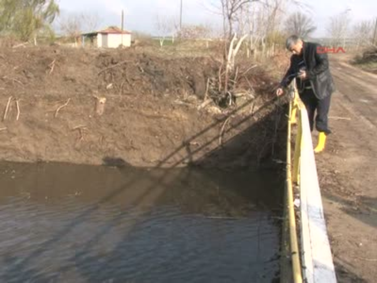 Balık Ölümleri Köylüleri Korkuttu