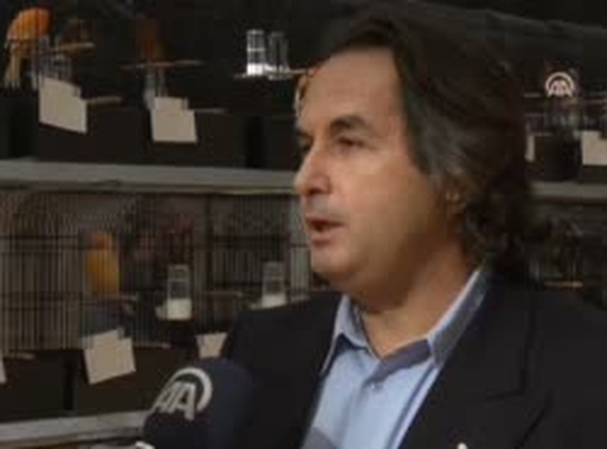 "En Güzel" Kanarya Seçilecek