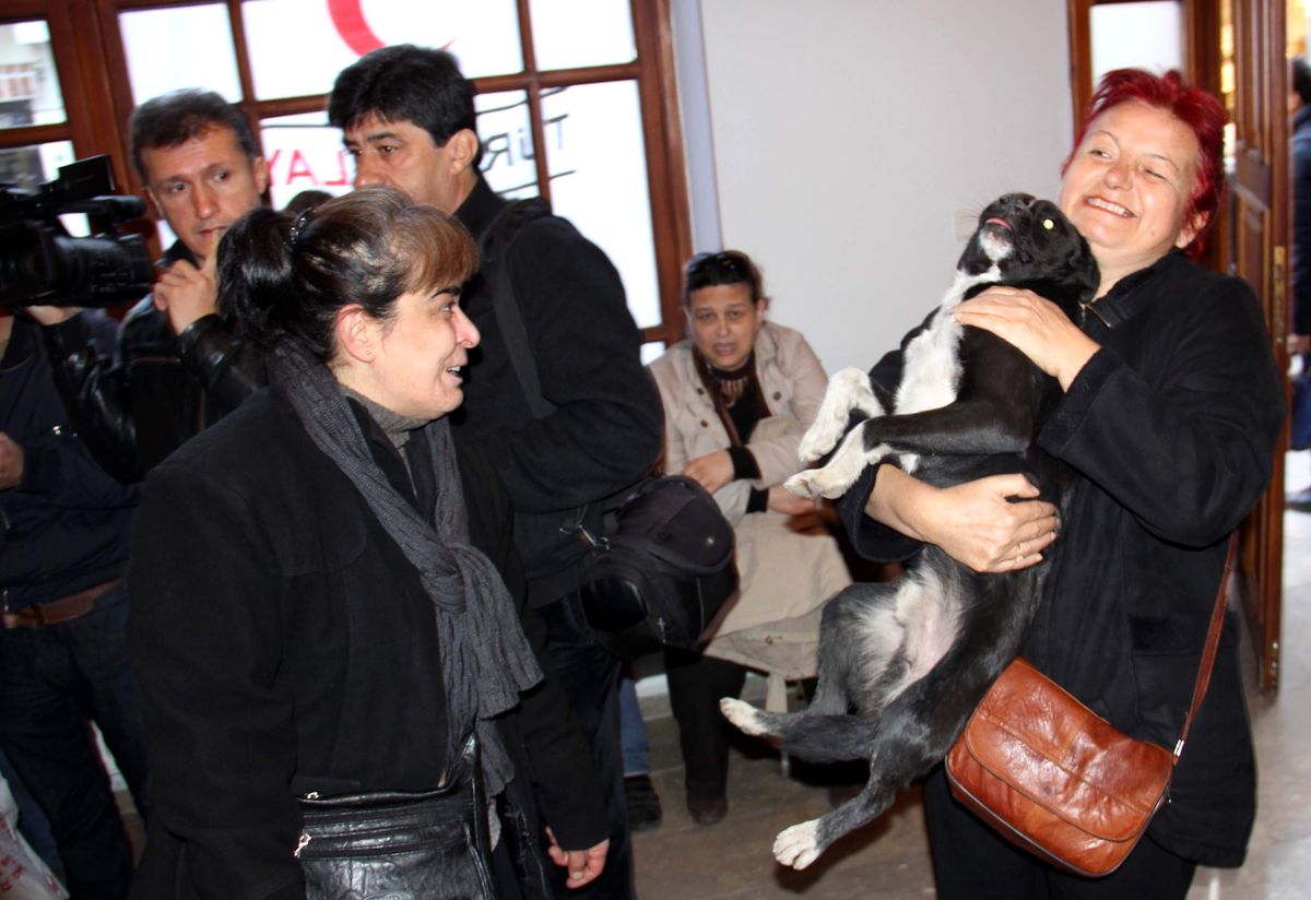Hayvanseverleri Bile Şaşırtan Köpek