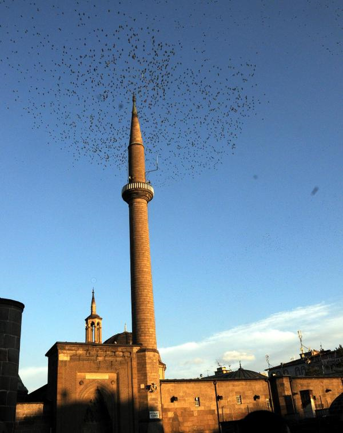 Kayseri Semalarında Sığırcıkların Dansı