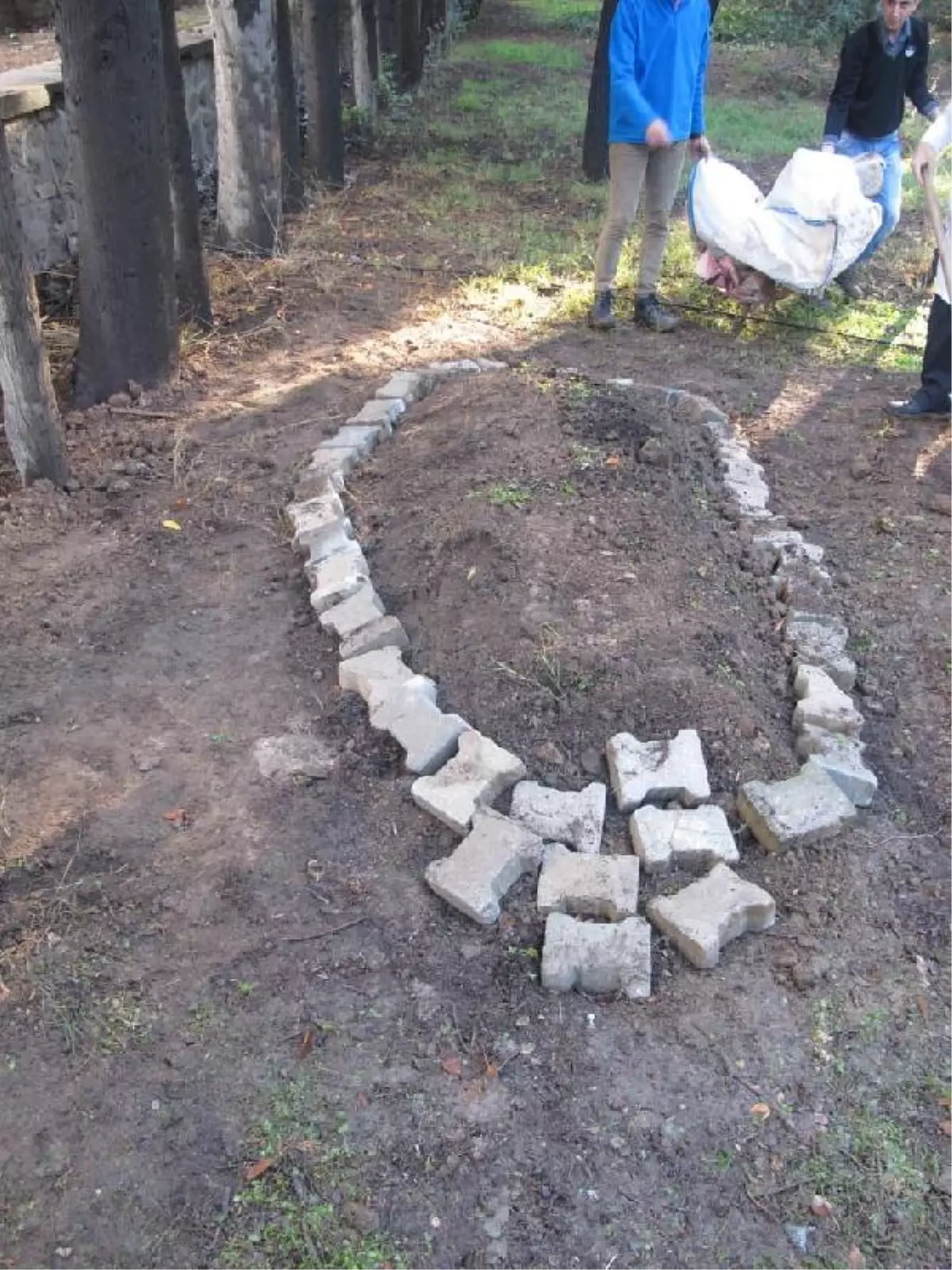 Ölen Yunusun İskeleti Müzede Sergilenecek